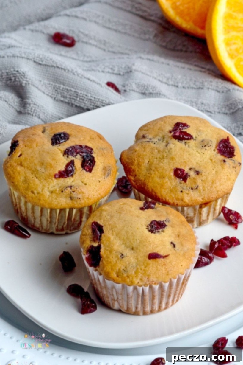 Sweet & Tart Vegan Orange Cranberry Muffins 4 Angle photo of vegan cranberry muffins