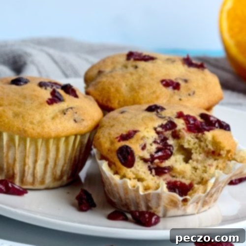 Sweet & Tart Vegan Orange Cranberry Muffins 7 Close up image of orange cranberry muffins on a serving plate