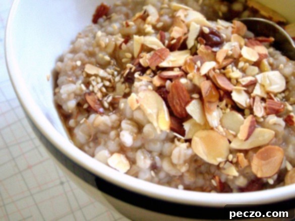 A comforting bowl of cooked oats and barley, garnished with nuts and seeds, ready to be enjoyed.