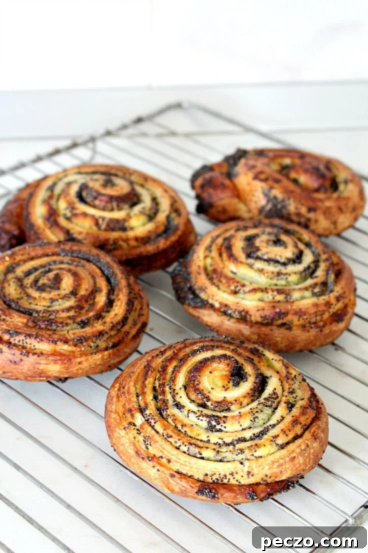 Image of poppy seed rolls on a cooling rack