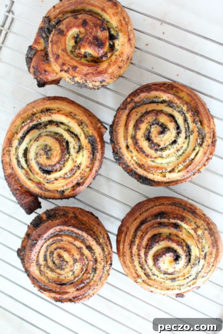 Poppy rolls on a cooling rack