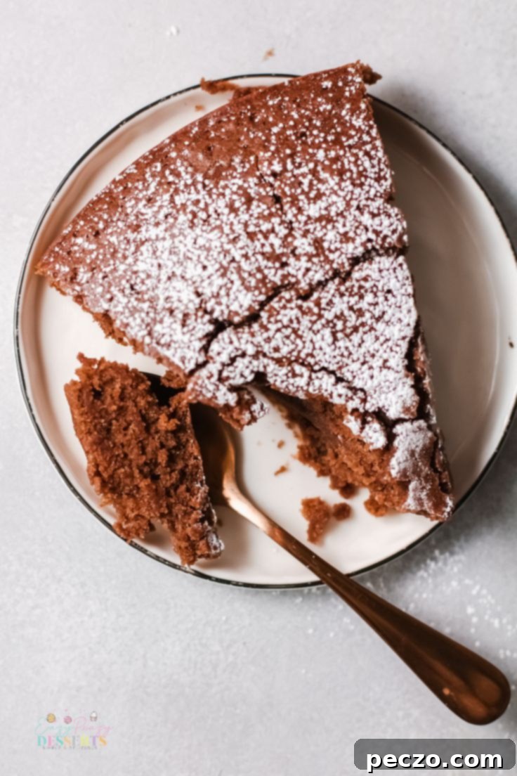 Dairy-free chocolate cake, moist and fluffy dessert
