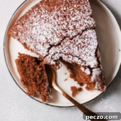 Decadent Dairy and Egg Free Chocolate Cake 7 Dairy-free chocolate cake for sensitive diets