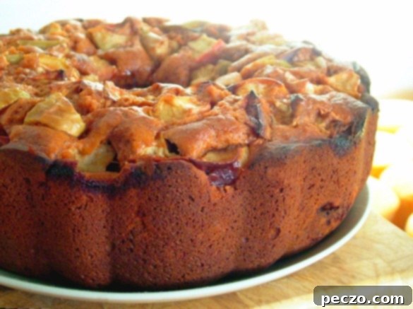 Tomato-Apple-Cake-585x437