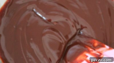 Melted chocolate chips and condensed milk in a bowl, being stirred with a spatula