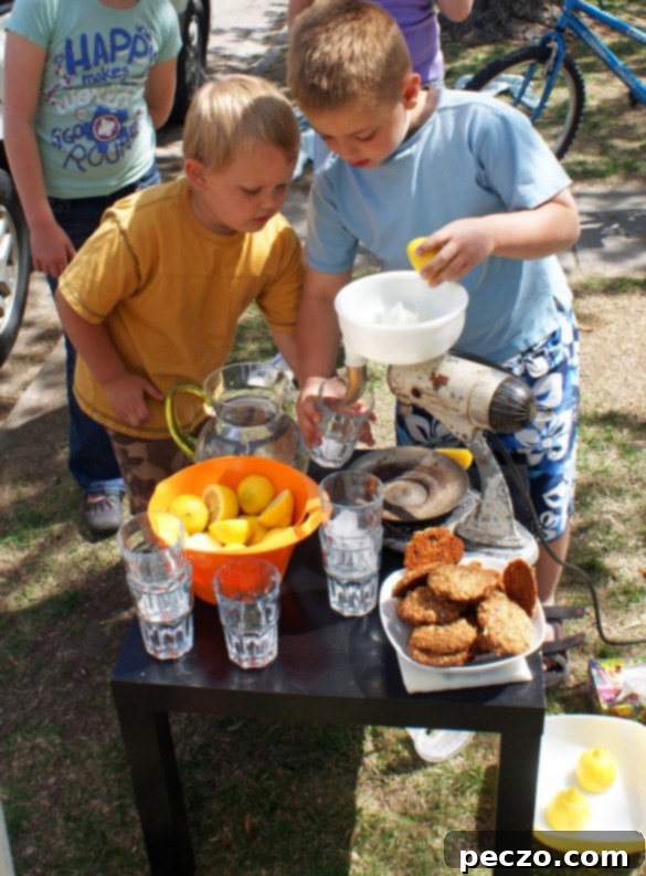Two young boys, B and W, setting up their lemonade stand with a pitcher and glasses on a table.
