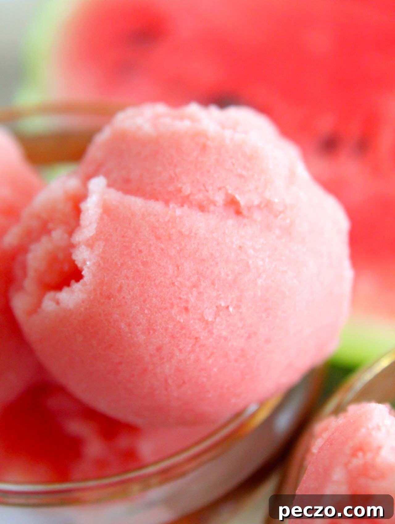 Vegan watermelon sorbet