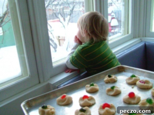 Window & Cookies: A Cozy Winter Baking Scene
