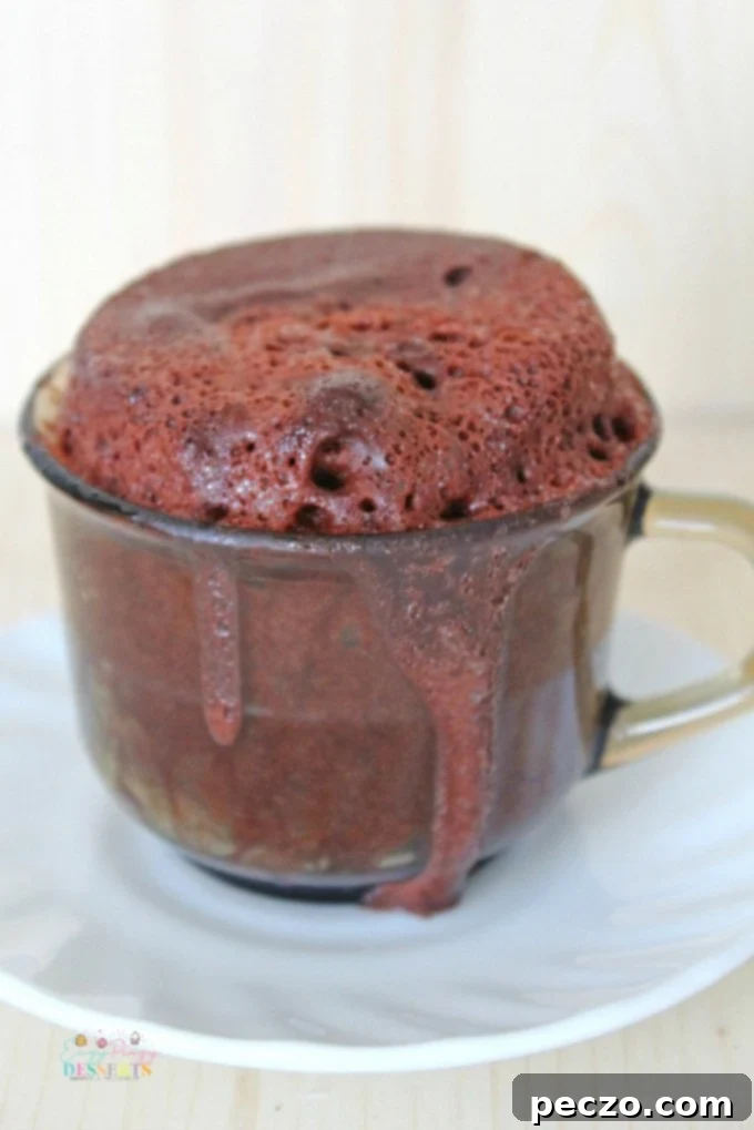 Image of microwave lava cake in a cup, ready to be served