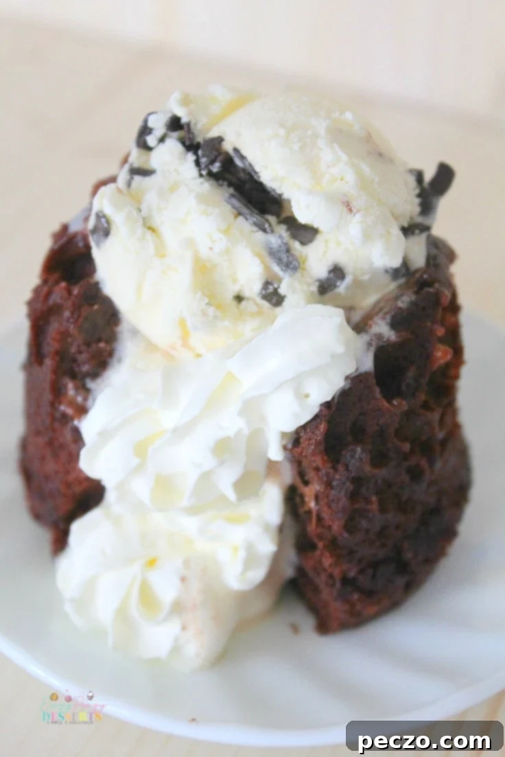 Image of Nutella mug cake served with a scoop of vanilla ice cream and whipped cream, top view