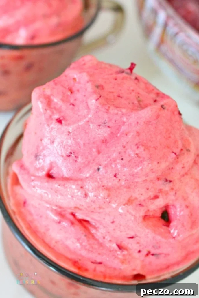 Close up image of delicious dairy-free and egg-free ice cream with mixed frozen fruit