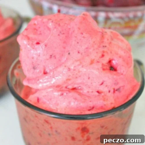 Close up image of dairy free ice cream
