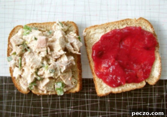 Turkey Salad Sandwich