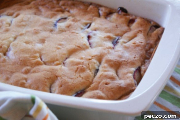 Delicious Tofino Plum Butter Cake slice on a plate
