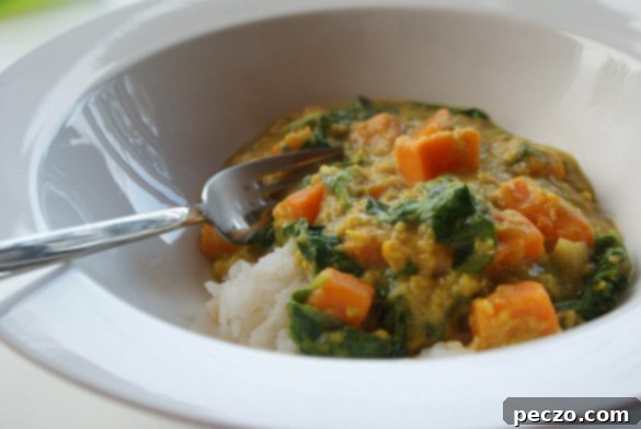 Vibrant Lentil and Sweet Potato Curry Ready to Serve
