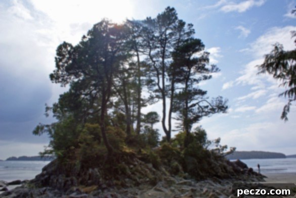 Tonquin Island Trailhead - A lush forest path leading to the beach, signaling the start of an adventure.