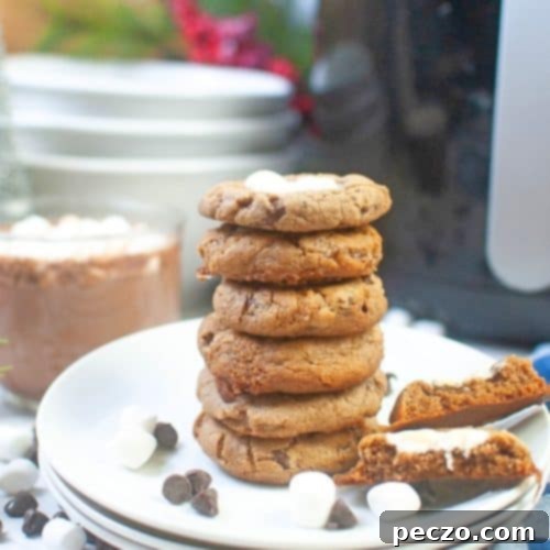 Warm Air fryer hot chocolate cookies with melted marshmallows