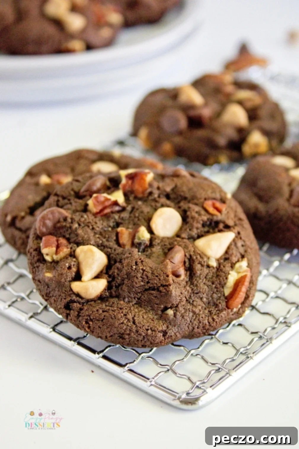 Chocolate chip pecan cookies