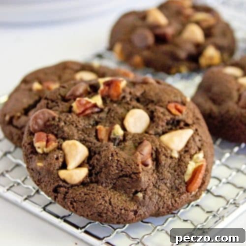 Chocolate chip pecan cookies