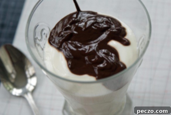 Chocolate yogurt with a spoon, ready to be eaten