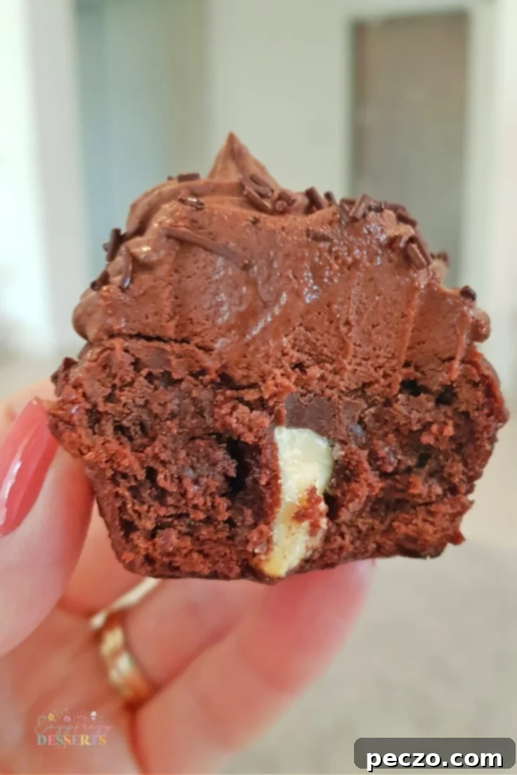 Best chocolate cupcakes