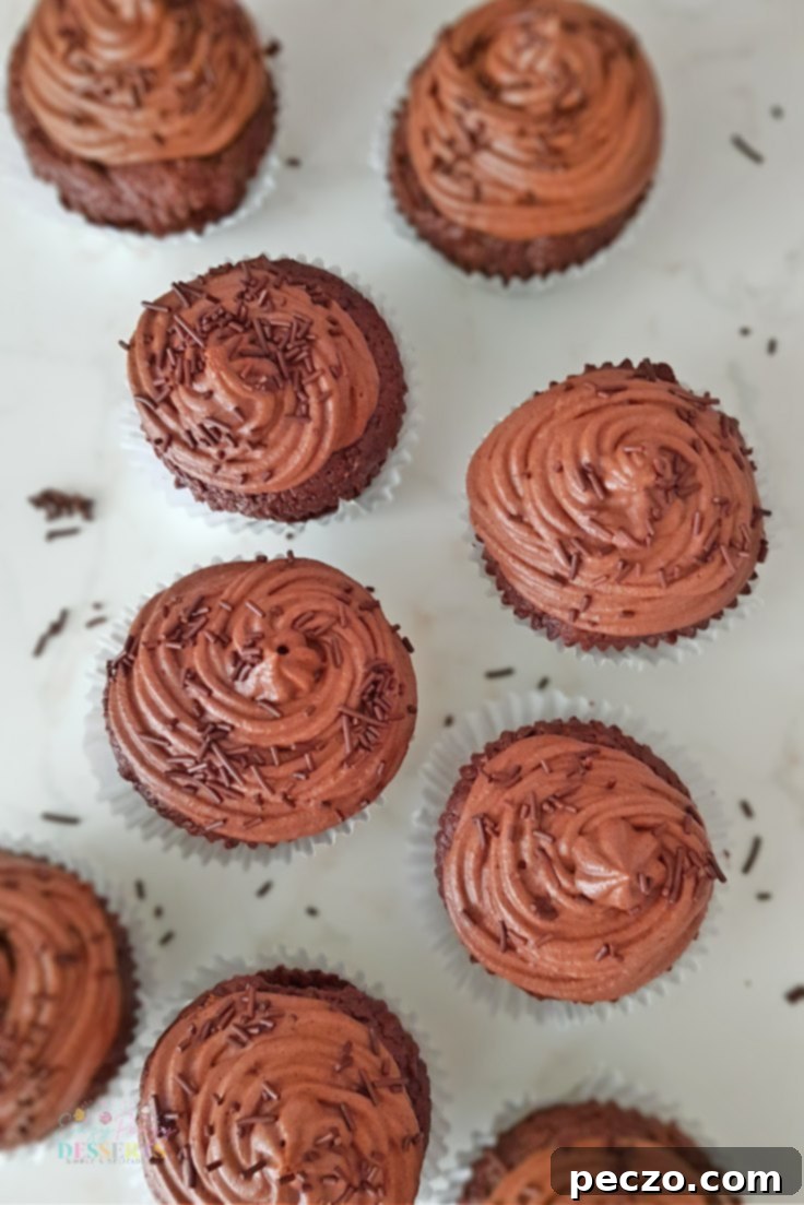 Chocolate cupcakes