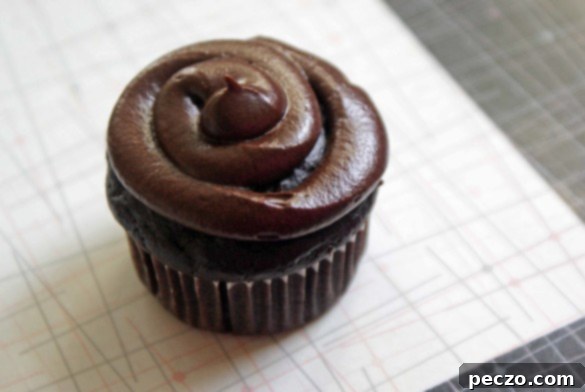 Rich chocolate on chocolate cupcakes, perfectly frosted