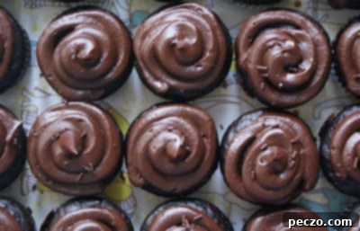 Chocolate cupcake with rich chocolate frosting