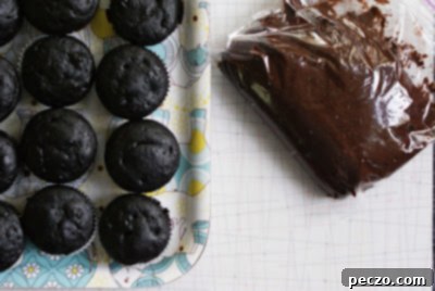 Tray of chocolate cupcakes and a bowl of rich chocolate icing