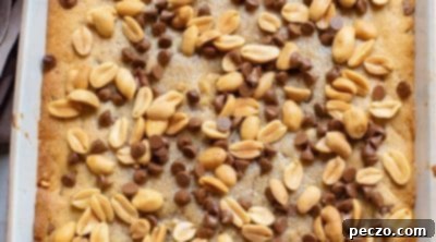 Chocolate peanut butter cookie bars