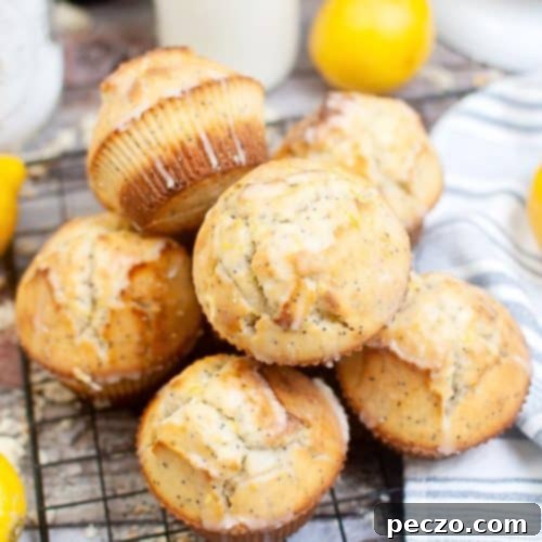 Zesty Lemon Poppy Seed Muffins 8 Lemon and poppy seed muffins