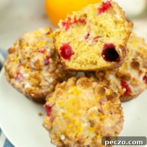 Cranberry orange muffins