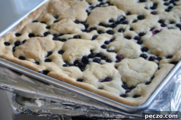 Freshly baked Blueberry Cobbler Cookie Bars