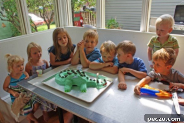 Homemade chocolate dragon cake for a 5th birthday party