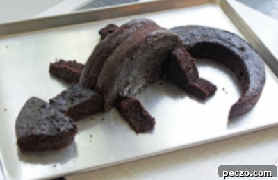 The intricately carved chocolate cake shaped like a dragon, before any icing or decoration