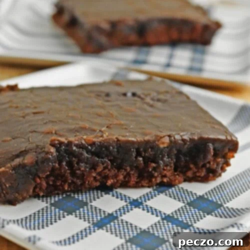 You’ll fall in love with Texas sheet cake for its decadent flavor, moist texture, and the ease with which it can be prepared.