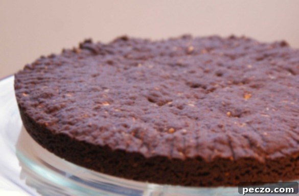 Chocolate+hazelnut+shortbread
