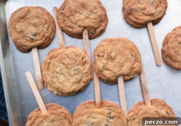 Cookies on a stick, freshly baked and ready to enjoy