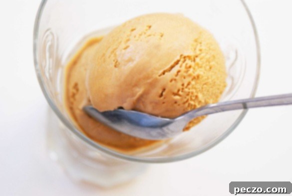 Burnt Sugar Espresso Ice Cream, a rich, dark dessert with a creamy texture, perfect for adults