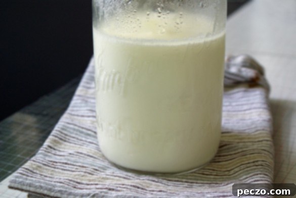 Freshly made homemade yogurt in a glass jar, showcasing its creamy texture and inviting appearance, ready for consumption.