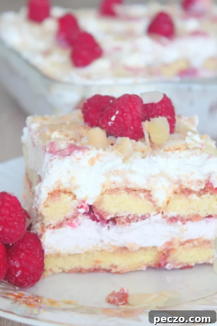 Raspberry tiramisu recipe