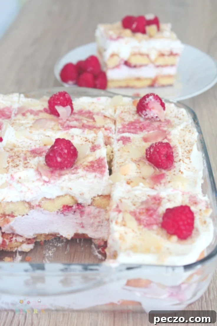 Easy raspberry tiramisu