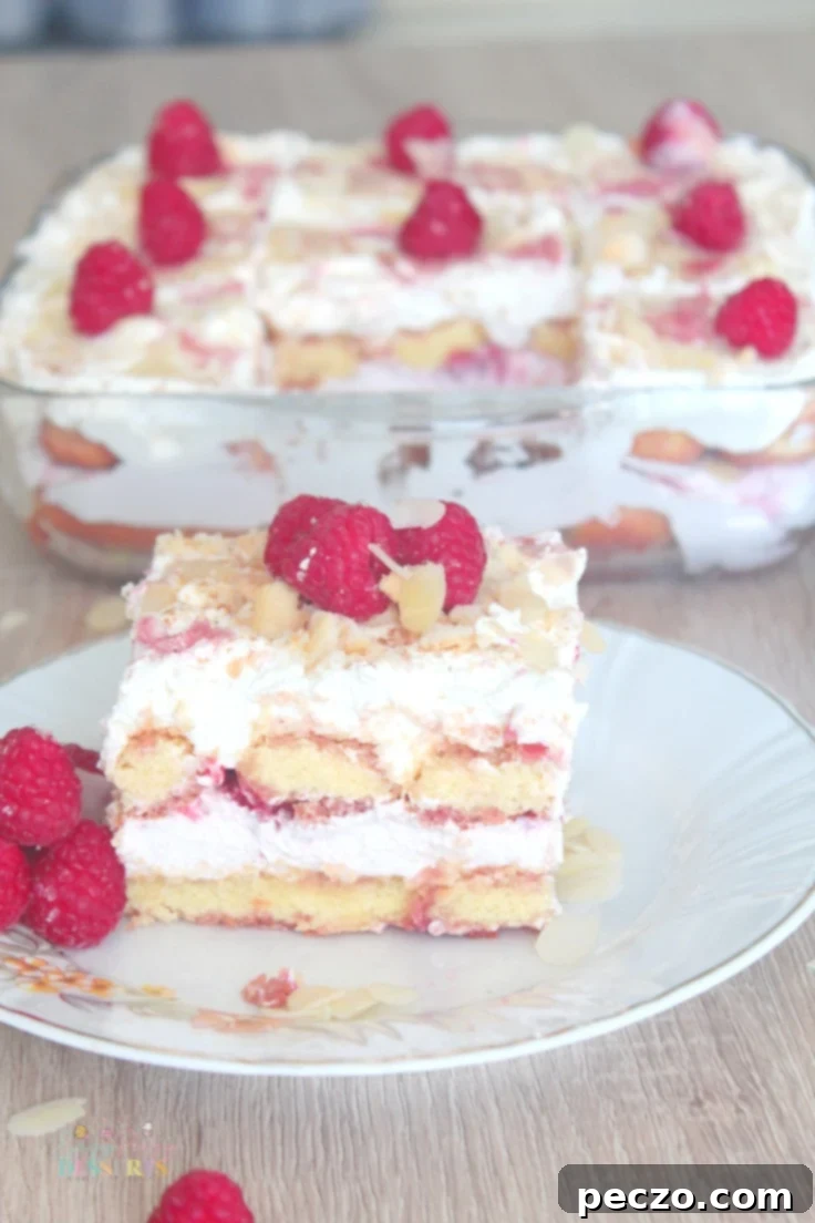 Tiramisu with raspberries