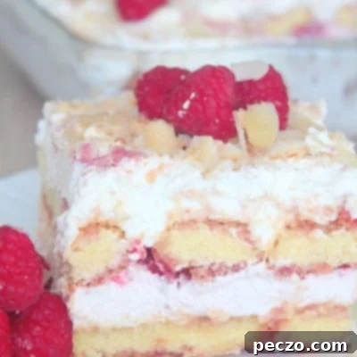 Raspberry tiramisu recipe