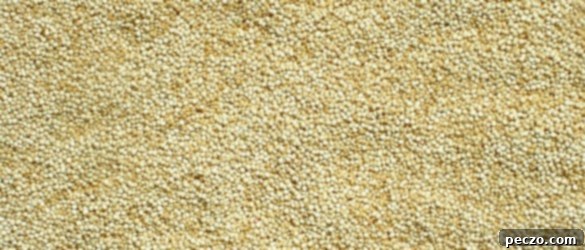 Quinoa grain close-up with a wooden spoon